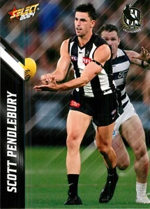 2024 Collingwood Magpies AFL Select Footy Stars Card - Scott Pendlebury - Picture 1 of 3