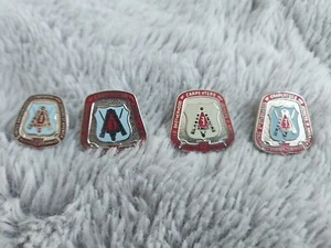 United Brotherhood Carpenters & Joiners of America 20 25 35 45 Year Service Pins - Picture 1 of 5