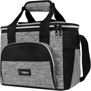Insulated Small Cooler Bag for Travel | Soft Collapsible Cooler Bag - Picture 1 of 8