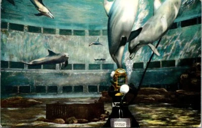 Postal Marineland del Pacífico Thr El Oceanario Más Grande del Mundo Foto 1 de 2