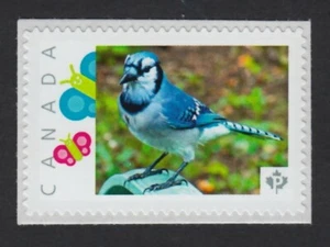 BLUE JAY = Francobollo personalizzato con foto MNH Canada 2015 [p15-11-sn3] - Foto 1 di 2