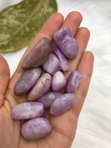 Kunzite - MINI tumble - Picture 1 of 1
