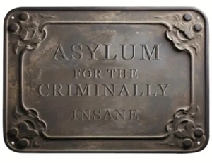 Asylum For The Criminally Insane 12X8 Aluminum - Great For Kids Bedroom Door! - Picture 1 of 1