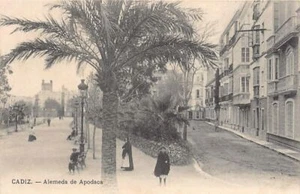 España - CÁDIZ - Alemeda de Podaca - Ed. E.J.G. - Picture 1 of 2