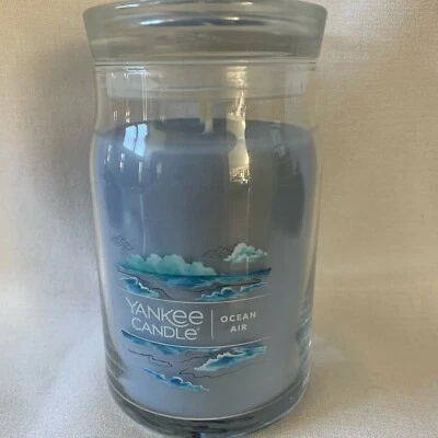 Yankee Candle vaso exclusivo de 2 mechas 20 oz 22 oz tarro grande velas raro tú eliges Foto 1 de 4