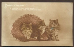 CAT/KITTEN POSTCARD-3 KITTENS IN A STRAW HAT- SCHWERDTFEGER - BERLIN-UNPOSTED - Foto 1 di 2