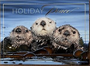 The National Wildlife Federation 16 Otter Raft Holiday Christmas Cards Envelopes