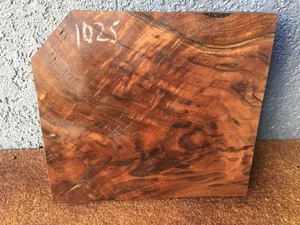 Walnut Wood Slab Billet Woodworking Turning   1 3/4" x 9 3/4" x 10 3/4"  #1025 - Picture 1 of 6