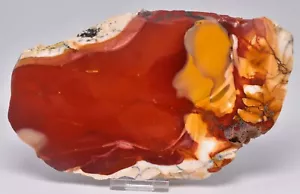 MOOKAITE Polished Slice, FOSSIL RADIOLARIAN Western Australia S955 - Bild 1 von 4