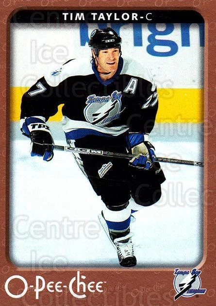 2006-07 O-Pee-Chee #448 Tim Taylor - Image 1 of 1