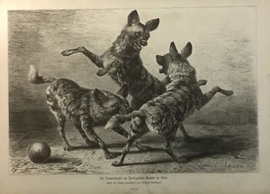 Ludwig Beckmann Antique Dog Print from book, “Die Hyanenhunde” - Imagen 1 de 7