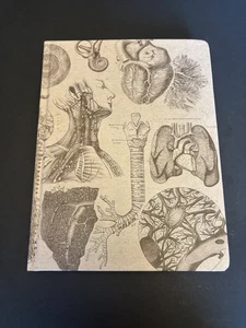 Anatomische Illustrationen menschliche Organe & Systeme Zeichnungen Notizbuch (gebunden) - Bild 1 von 2