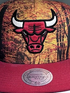 Neu mit Etikett Mitchell & Ness Chicago Bulls Snapback-Mütze Herbst Bäume NBA NEU Jordan MJ - Bild 1 von 13