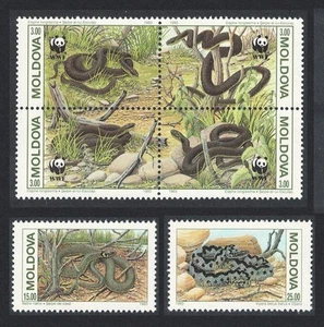 Moldova Snakes Protected Animals Fauna WWF 6v 1993 MNH SG#57-62 Sc#72-74 - Picture 1 of 1