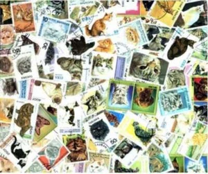 Colección de estampillas de gatos - 100 estampillas diferentes - Imagen 1 de 1