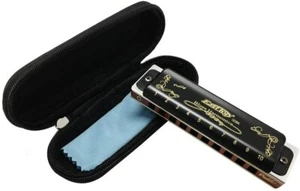EASTTOP Harmonica 10Holes Professional Diatonic Blues Harmonica Key of Paddy New - Picture 1 of 16