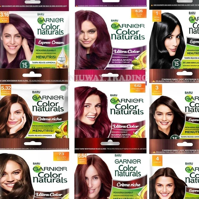 GARNIER HAIR COLOUR NATURALS 20G + 20ML SACHET (HALAL) - Image 1 of 1