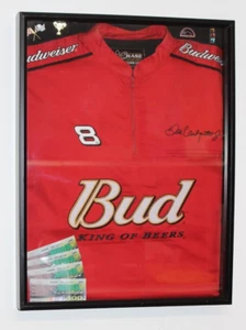 Memorabilia 19x25 Dale Earnhardt Jr 2002 Winston Cup Series MBNA Platinum 400 - Imagen 1 de 19