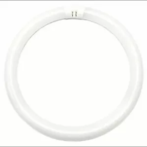 Phillips F16T9/CW T9 Circline Fluorescent Light Bulb 4100K, 40 Watt - Picture 1 of 1