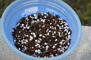 Organic Perlite Sphagnum Peat Moss Mix - 50/50 Potting Soil - 8 or 16 cups OMRI