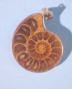 Stone Sea Shell Pattern Necklace Pendant - Picture 1 of 4
