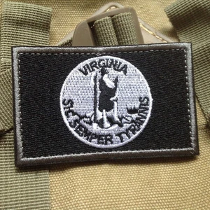 Virginia VA STATE FLAG US ARMY TACTICAL MILITARY 3D HOOK PATCH - Picture 1 of 5