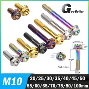 M10x20-100mm Titanium Bolt Hex Flange Screw Ti Bolts Metric for Motorcycles - Picture 1 of 8