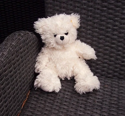 Steiff Teddy Lotte 645907 mit KF  32cm - Bild 1 von 2