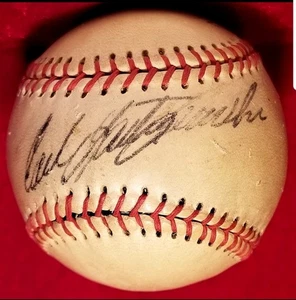 1960s CARL YASTRZEMSKI Signed Ball Boston Red Sox Team HOF vtg JSA Triple Crown - Picture 1 of 7