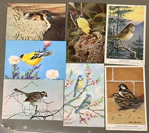 # T5214 LOTTO CARTOLINE UCCELLINI, 7 DIF. CARDS - Foto 1 di 2