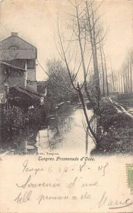 België - TONGEREN (Limb.) Ovee lopen - Uitg. Vanden Born - Picture 1 of 2