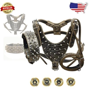 3-Piece Matching Dog Collar, Harness, and Leash Set - Durable Faux Leather, Gold - Picture 1 of 4
