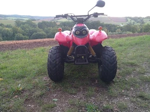 Quad MZ Panther 50 - Bild 1 von 17