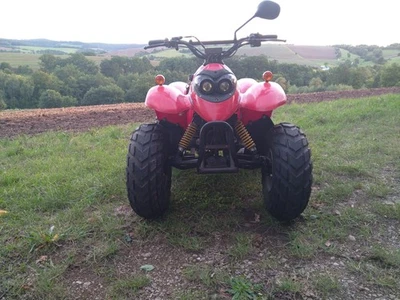 Quad MZ Panther 50 - Bild 1 von 4