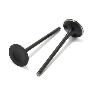 2PCS Intake Valves Kits For Suzuki LT-A400 LT-F400 2002-2020 LT-A450 LT-A500 New - Picture 1 of 5