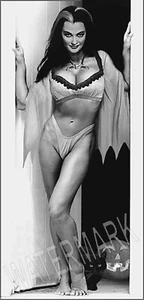 Sexy Lily The Munster Portrait High Quality Metal Magnet 2.5 x 5 Fridge 8886 - Picture 1 of 4