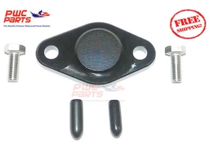 TIGER SHARK Oil Injection Block Off Plate Monte Carlo Daytona 640 770 Montego PW - Picture 1 of 1