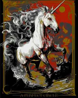 A Perfect Circle Cascades Amphitheatre Ridgefield WA June 6th 2025 Poster, Music - Image 1 of 4