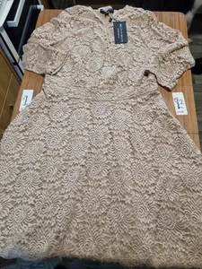 melalondon pretty lace fit n flair lined dress size 16 new caramel colour - Picture 1 of 9