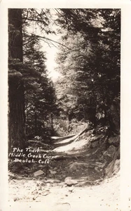 Postal LP69 Beulah Colorado The Trail Middle Creek Canon RPPC 1920 - Imagen 1 de 2