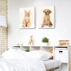 Póster personalizado para el hogar de impresiones de lona con tus fotos personalizado sobre lienzo - Imagen 1 de 14