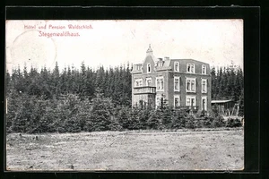 Ansichtskarte Stegenwaldhaus, Hotel und Pension Waldschloss 1909  - Picture 1 of 2