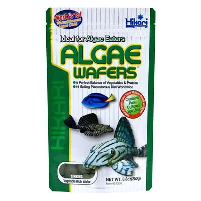 Hikari Algae Wafers 40g Protein Rich Premium Fish Food Made In Japan - image 1 of 3