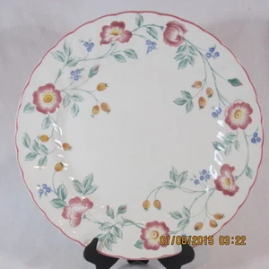 Churchill Fine English Dinner Plate Briar Rose Staffordshire England white pink - Picture 1 of 3