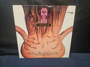 The S.O.U.L. S.Y.S.T.E.M. - It's Gonna Be A Lovely Day VINYL RECORD 2 LP 1992  - Picture 1 of 7