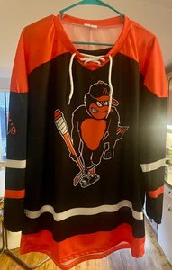 Baltimore Orioles Hockey Jersey, Size M, Rare Giveaway, Worn Once - Picture 1 of 3