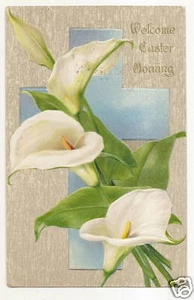 John Winsch Lily Easter Postcard - Picture 1 of 1