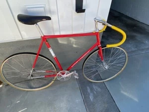 Schwinn Paramount Track Bike 58cm Reynolds 531/Campagnolo/Cinelli Vintage Pista - Picture 1 of 16
