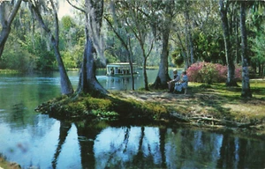 Silver Springs Florida, Silver River, barco turístico, postal vintage - Imagen 1 de 2