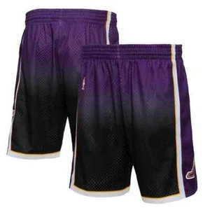 Mitchell & Ness Men's Fadeaway Swingman LA Lakers 2009 Shorts Multicolor 2XL - Picture 1 of 3